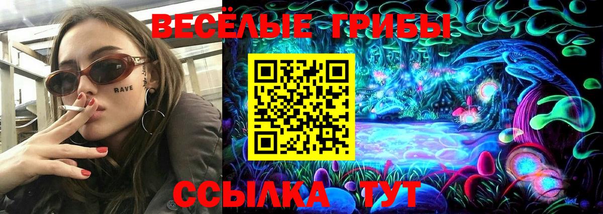 Псилоцибиновые грибы Psilocybine cubensis  Вход с VPN  Североуральск 